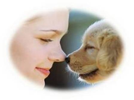 Domesticated Animals